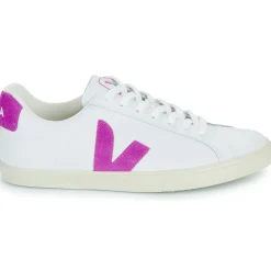 Veja - ESPLAR LOGO Best