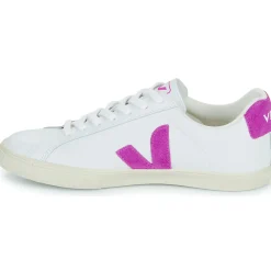 Veja - ESPLAR LOGO Best