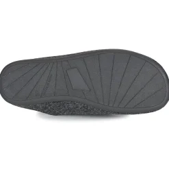 Verbenas - EAGLE Anthracite Online