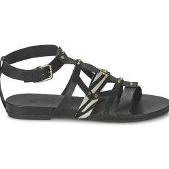 Vic - GINKO ACHANTUS