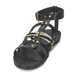 Vic - GINKO ACHANTUS