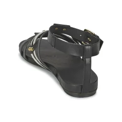 Vic - GINKO ACHANTUS