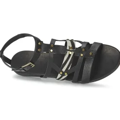 Vic - GINKO ACHANTUS