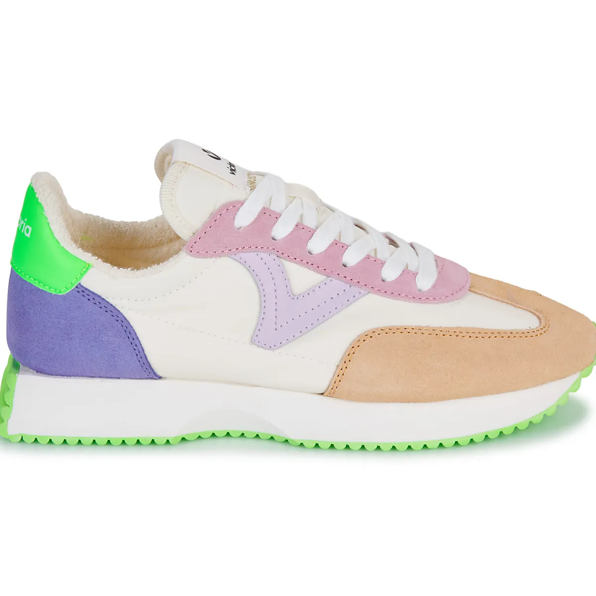 Victoria - COSMOS SERRAJE MULTICOLOR