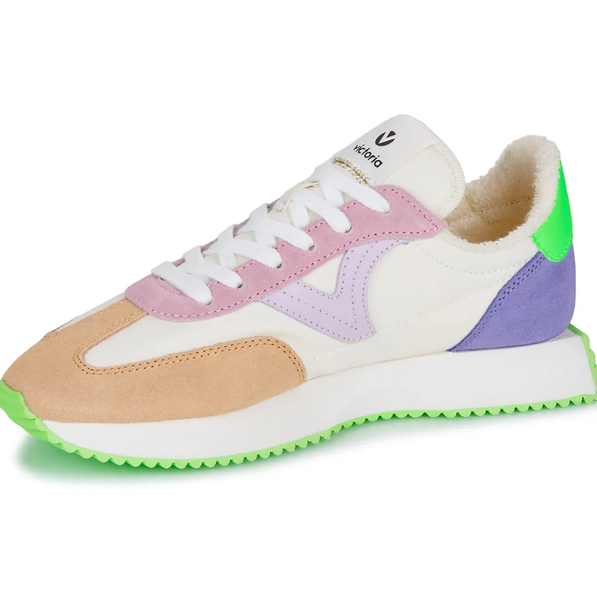 Victoria - COSMOS SERRAJE MULTICOLOR