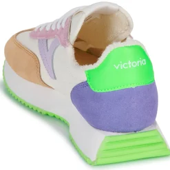 Victoria - COSMOS SERRAJE MULTICOLOR