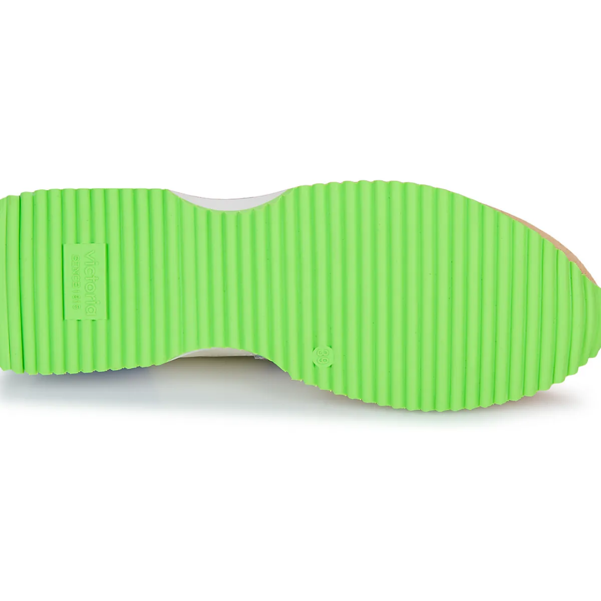 Victoria - COSMOS SERRAJE MULTICOLOR