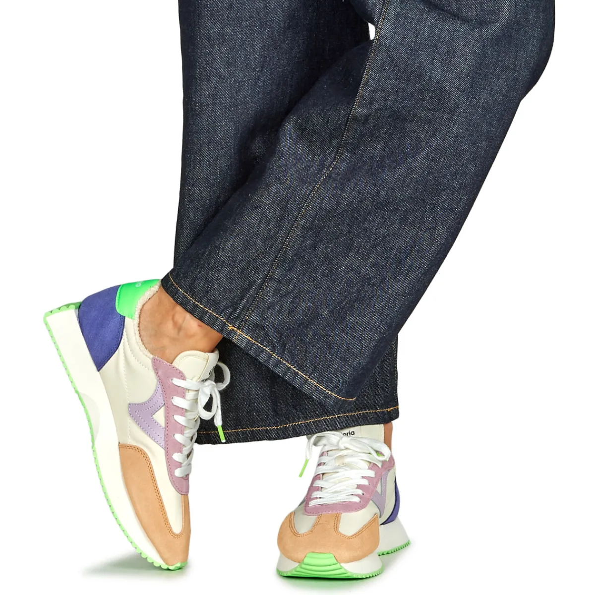 Victoria - COSMOS SERRAJE MULTICOLOR