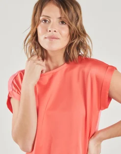 Vila - VIELLETTE Rose Online