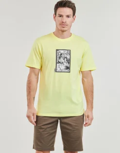 Volcom - MADITI BSC SST