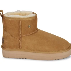 Warmbat - WALLABY Marron