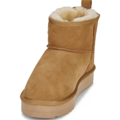 Warmbat - WALLABY Marron