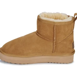 Warmbat - WALLABY Marron