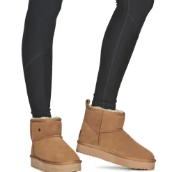 Warmbat - WALLABY Marron