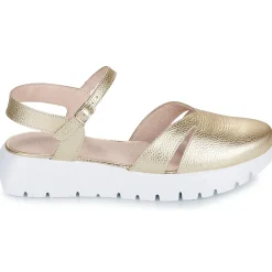 Wonders - A-2461-MAX-PLATINO Doré Outlet