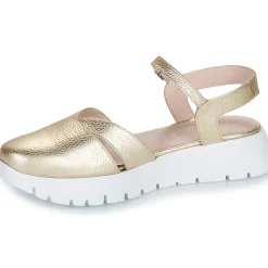 Wonders - A-2461-MAX-PLATINO Doré Outlet