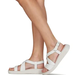 Wonders - C-6505-WILD