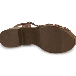 Wonders - D-9501-WILD Marron Online