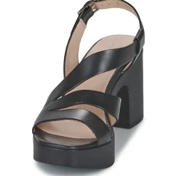 Wonders - L-1011 PERGAMENA Noir Online