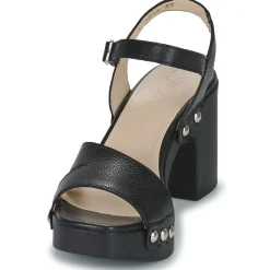 Hot Wonders - L-1016-WILD Noir