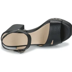 Hot Wonders - L-1016-WILD Noir