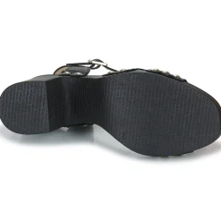 Hot Wonders - L-1016-WILD Noir