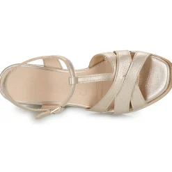 Hot Wonders - M-1024 Doré