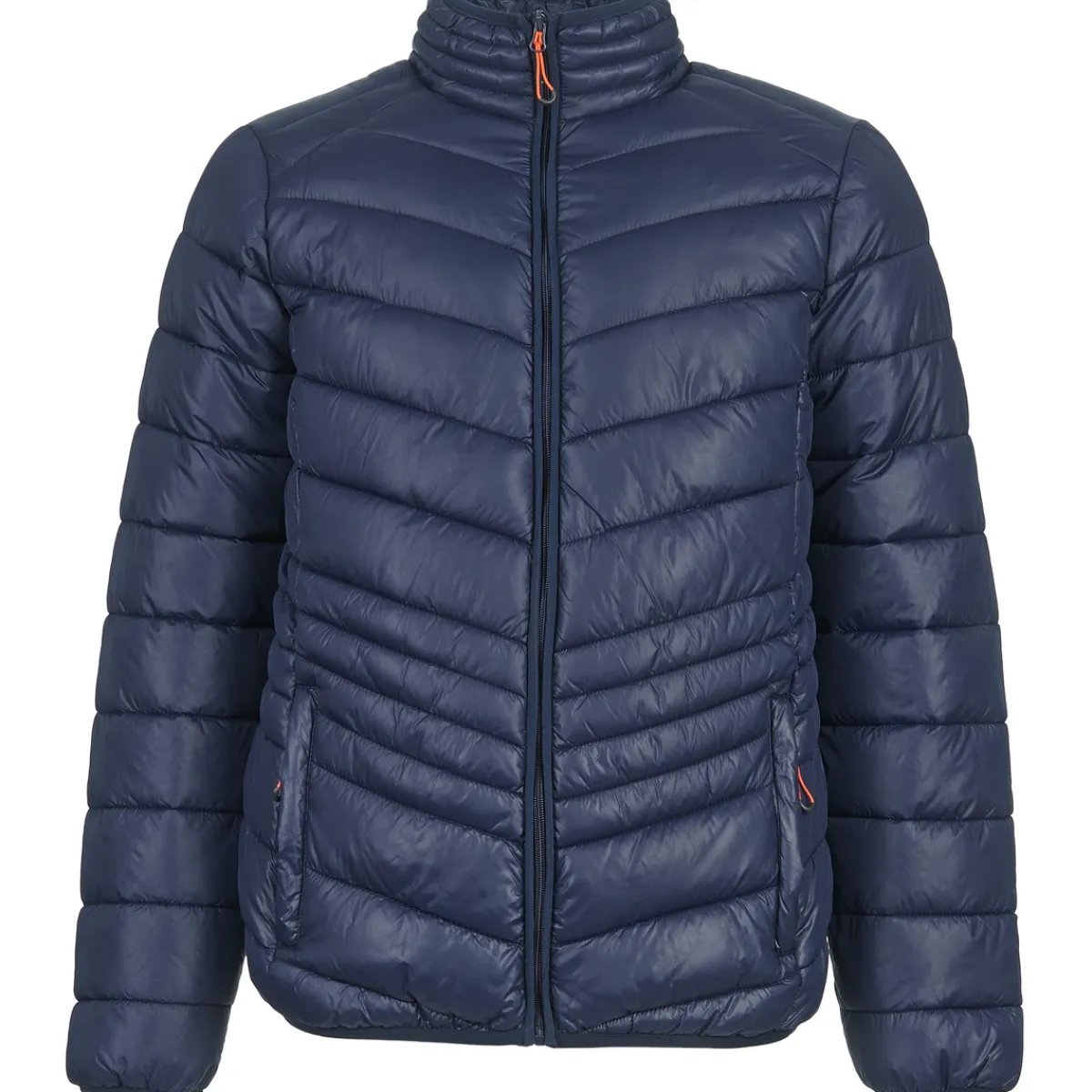 Online Yurban - DALE Marine