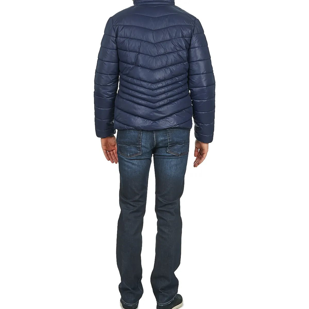 Online Yurban - DALE Marine