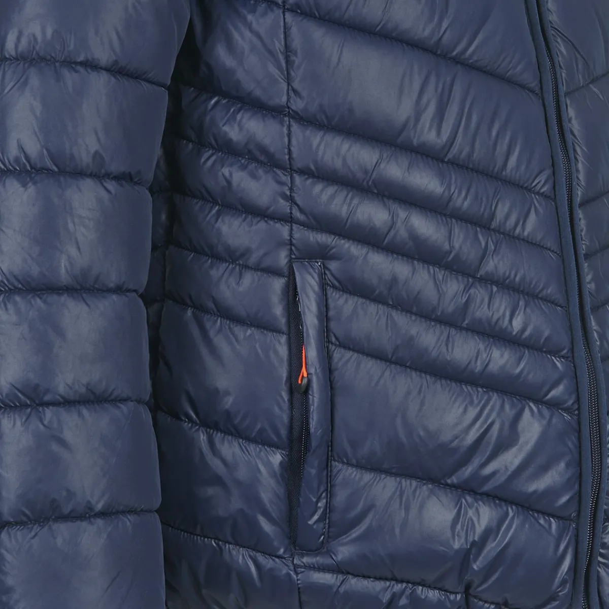 Online Yurban - DALE Marine